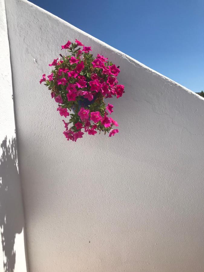 Bonita Casa Adosada Empuriabrava Exteriör bild